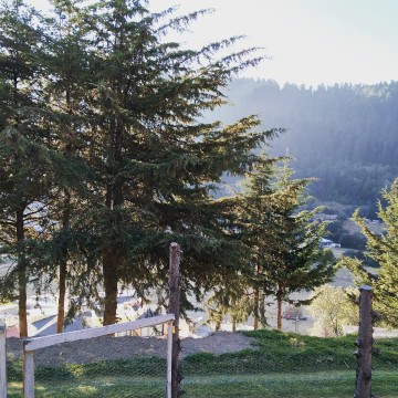 22474.jpg