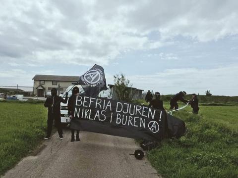 «Cómo cerramos la granja de visones de Falkenberg» «Cómo cerramos la granja de visones de Falkenberg»