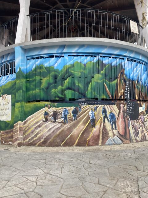 IMG_7211-480x640.jpeg