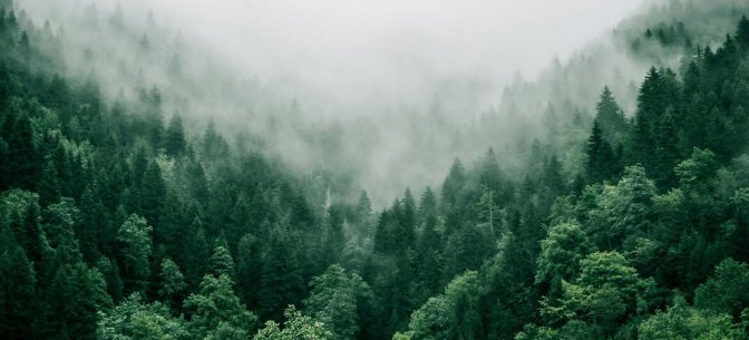 Un paisaje boscoso y neblinoso en las montañas del Cáucaso Menor de Adjaría, Georgia, con densos árboles verdes y niebla deslizándose por el valle.