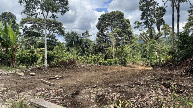 Zonas deforestadas junto a cultivos de banano de los comuneros. Foto: Cortesía Viviana Calapucha