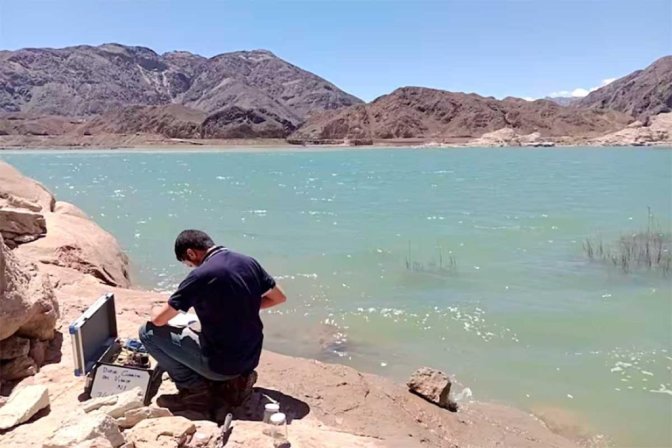 Contaminación minera en San Juan - peces muertos