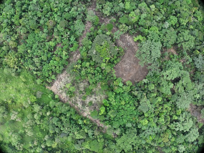 Zonas deforestadas que la comunidad atribuye a Terraturismo. Foto: cortesía