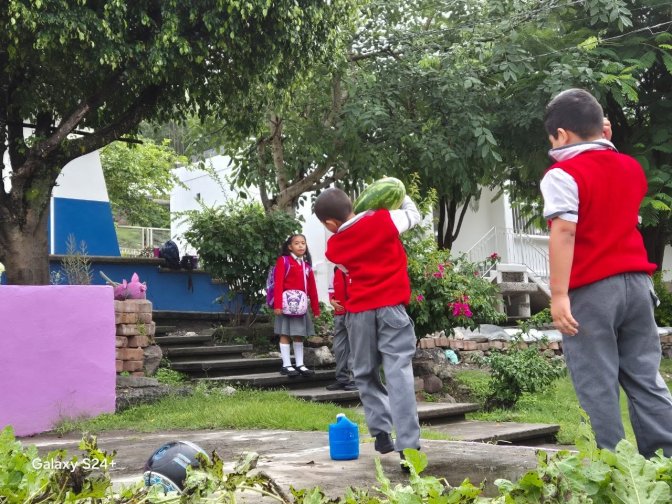 Escuela Alpuyeca - Morelos - México - Basurero
