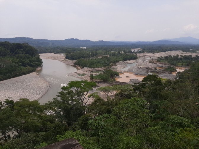 Pueblos-indigenas-y-economias-ilegales-Amazon-Watch.jpg