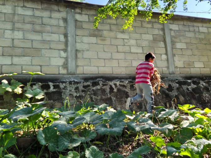 Escuela Alpuyeca - Morelos - México - Basurero