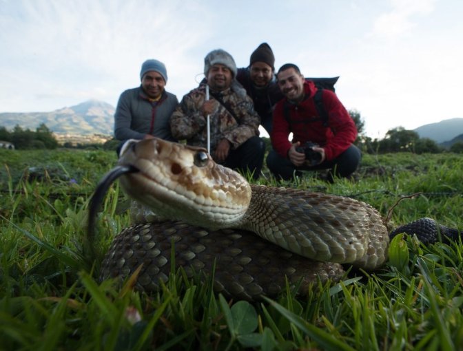El biólogo Miguel Ángel De la Torre Loranca junto a personas posando detrás de una serpiente para una fotografía