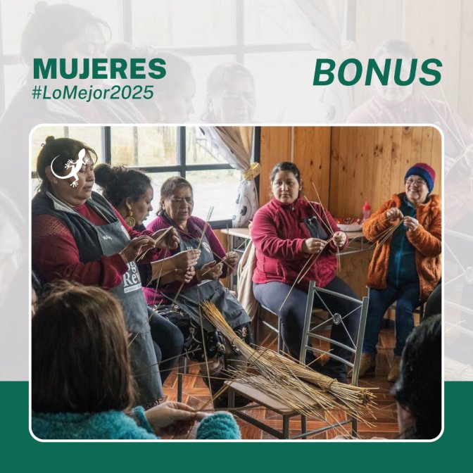 Mujeres-Bonus.jpg